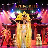Aphrodite Cabaret Show photo 15