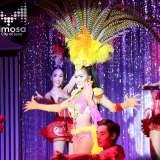 Mimosa Cabaret Show photo 23