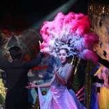 Mimosa Cabaret Show photo 25